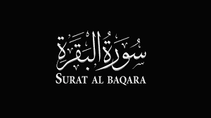 عليكم بـ سورة البقرة فإن أخذها بركة وتركها حسرة youtube