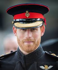 Prince Harry Facial Hair Beard