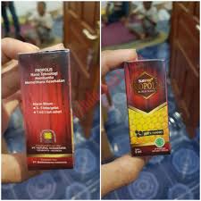 Hasil gambar untuk propolis nasa