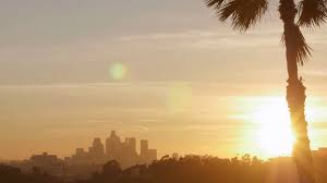 Maybe you would like to learn more about one of these? Downtown Los Angeles Sunset Time Lapse And A Palm Tree Shot From East La Illuminating The Night Skyline Stock Video Footage Storyblocks