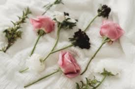 We offer same day flower delivery when you order by 12:00 pm local sioux falls time monday through friday and 10:00 am on saturday. 7ndrpyy5zdxgrm