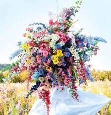 Pin By Kravchenko Alina On Flo Beautiful Flowers Beautiful Blooms Wild Flowers