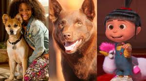 Night at the museum (2006) Best Family Movies Stan The Best Kids Movies To Watch On Stan