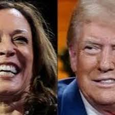 Aaron Weil (@aaaronweil) • Instagram photos and videos