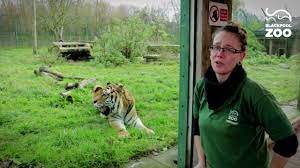It provides a home to over 1,350 animals from all over the world. Animal Experiences At Blackpool Zoo Youtube