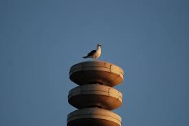 Maybe you would like to learn more about one of these? Vijf Dingen Die Je Nog Niet Wist Over Het Luchtalarm