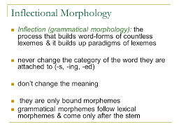 We did not find results for: Chapter 3 Lexical Grammatical Morphology Morphology Lane Ppt Download