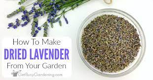 Maybe you would like to learn more about one of these? How To Dry Lavender From Your Garden Get Busy Gardening