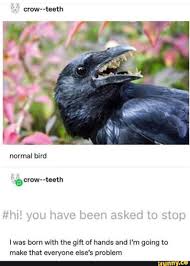 Crow Teeth With Born The Gift Of Hands And I M Going To Make That Everyone Else S Problem L Was Ifunny Tumblr Funny Memes Stupid Memes