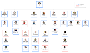 organizational chart templates lucidchart