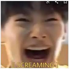 Get free emoji exo 엑소 kpop meme stickers newest popular. Stray Kids Are Dumb Stickers For Whatsapp