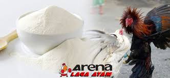 Check spelling or type a new query. Manfaat Susu Bagi Ayam Bangkok Aduan Dalam Campuran Pakan Harian