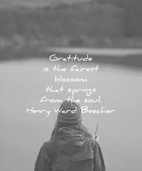 130 Gratitude Quotes That Will Bring You Happiness What are you thankful for this thanksgiving? 130 gratitude quotes that will bring