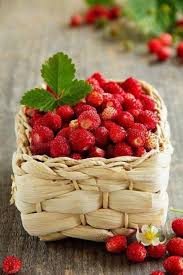 Wild Berry Basket Gida Yeme Icme Meyve Bahcesi
