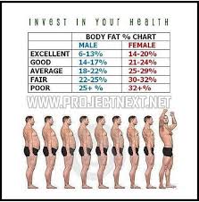 pin by nalini sooknanan on fitness height to weight chart