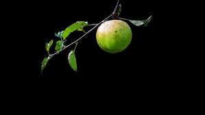 We did not find results for: 4k Phone Wallpapers Oled 1412x2662 Wallpaper Teahub Io