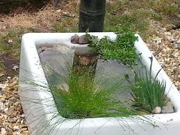 Pin On Ponds