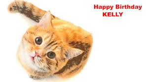 Kelly kelly / date of birth Kelly Cats Gatos Happy Birthday Youtube
