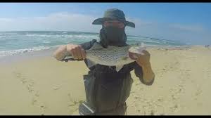 Check spelling or type a new query. Catch And Cook Striped Bass Striper Made Fish Tacos Youtube