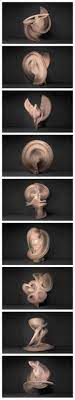 Dance Movement Veil Movement Photography Photography Subjects Abstract Photography