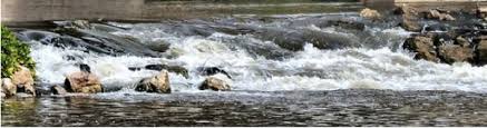 Arrastrados por la corriente del río - InterSer Ediciones