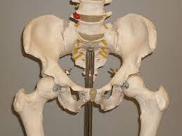 A broken pelvis may need a few months to heal. Injuries To The Pelvis After Trauma