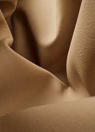 Image result for Beige Ceylog 1985 UMM