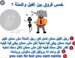 نكت نمل وفيل إقرأ نكت النملة والصرصور نكت النملة والفيل عراقية في نمله تزوجت ذبانه ليه