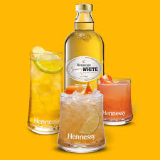 Image result for Heinsenia