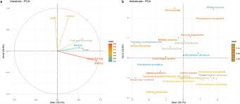 Image result for Millettia eetveldeana