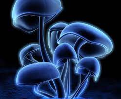 30 Gambar Keren 3d Buat Wallpaper Wallpaper Android Keren 3d 53 Pictures Download 82 Gambar Gam Android Wallpaper Galaxy Wallpaper Phone Wallpaper Images