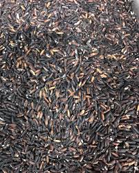 You follow our recipe eat together with your family. Jendela Dapur Beras Pulut Hitam Grade B Rm10 Kg Harga Facebook