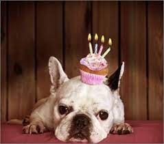 I M Getting Old Birthday Messages Happy Birthday Birthday