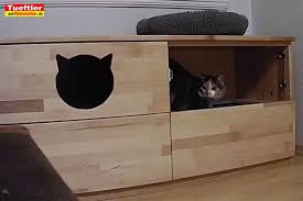 Bei einigen herstellern ist jedoch das passende katzenklo für den schrank gleich mit dabei. Katzentoiletten Schrank Aus Buche Leimholz Bauen Diy Tuftler Projekttueftler Und Heimwerker De