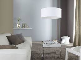 Couleur Salon Peinture Taupe Gris Canape Et Luminaire Blanc Couleur Salon Deco Deco Interieure