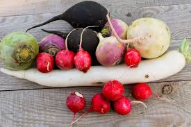 35 Different Types Of Radishes