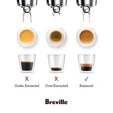 You have to collect golden beans by prestiging, which can then be used to purchase baristas. Perfect Daily Grind S Photos Perfect Daily Grind Coffee Barista Coffee Infographic Espresso Coffee