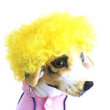 There are tight, short coils, long waves, puffy curls, and more. Yellow Black Pet Costume Wig Dog Cat Christmas Halloween Party Fancy Dress Up With Ears Curly Hair Pet Accessories Wig Dog Dog Wigdog Christmas Aliexpress