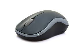 Check spelling or type a new query. How To Say Mouse In Spanish What Is The Meaning Of Raton Ouino