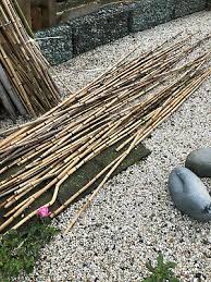 Das gilt für die kultivierung an der hauswand ebenso, wie im garten. Bambus Rohr Rankhilfe Bohnenstangen Sichtschutz Selber Bauen Ebay