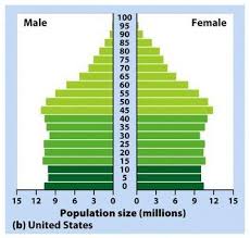 This Diagram Shows A Column Shaped Age Structure Diagram That Indicates Population Stability Graphing Teaching Biology Population Control