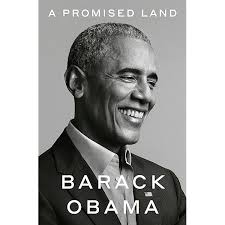 The Bridge: The Life and Rise of Barack Obama: Remnick, David:  9780375702303: Amazon.com: Books