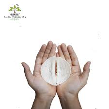 There are all sorts of things for sale, including clothing, consumer electronics in malaysia, ebay isn't as popular, as many sellers are based in the us. Top Selling Product Premium Swiftlet Bird Nest Halal Certified Malaysia Buy Bird Nest Halal Certified Companies Bird Nest Edible Product On Alibaba Com