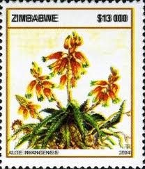 Image result for Aloe inyangensis