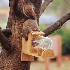See more ideas about bathrooms remodel, bathroom design, small bathroom. How To Make A Squirrel Feeder Diy Family Handyman