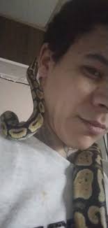 I even own a curly hair turantula had him 4 year! THE OG Kurtis!!