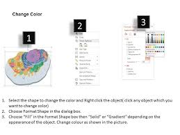 If you want to push your more advanced. 0914 Animal Cell Medical Images For Powerpoint Powerpoint Slide Presentation Sample Slide Ppt Template Presentation