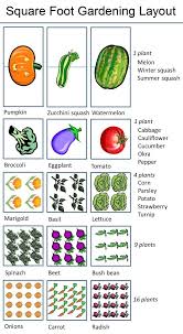 Check spelling or type a new query. Alternative Gardning Square Foot Gardening Layout Square Foot Gardening Layout Square Foot Gardening Starting A Garden