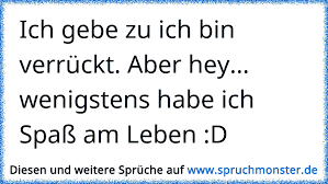 Ich Gebe Zu Ich Bin Verrückt Aber Hey Wenigstens Habe Ich Spaß