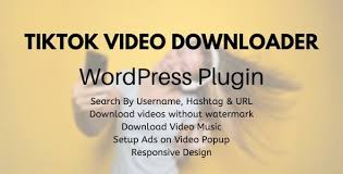 20, they'll both be gone. Tiktok Video Downloader Wordpress Plugin Resources Wp Plugins Y Temas Para Tu Wordpress